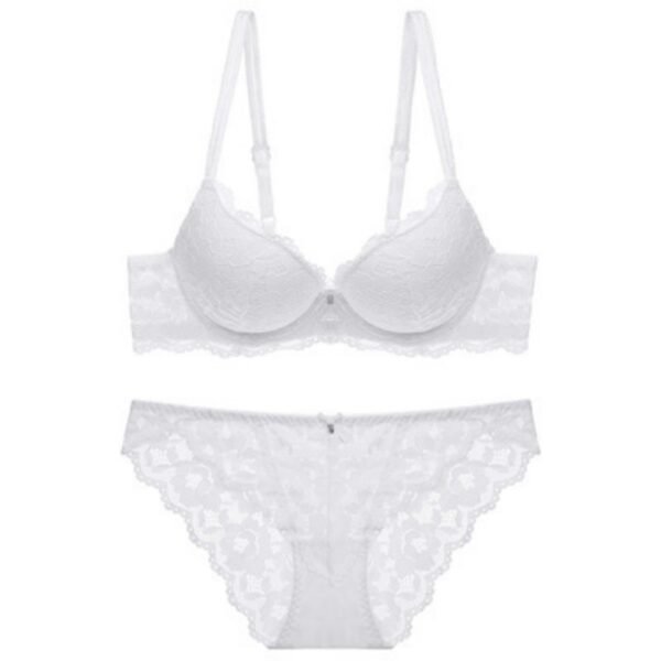 Sexy lace embroidered bra lingerie thin style gathered comfortable French bra set brassier and panties