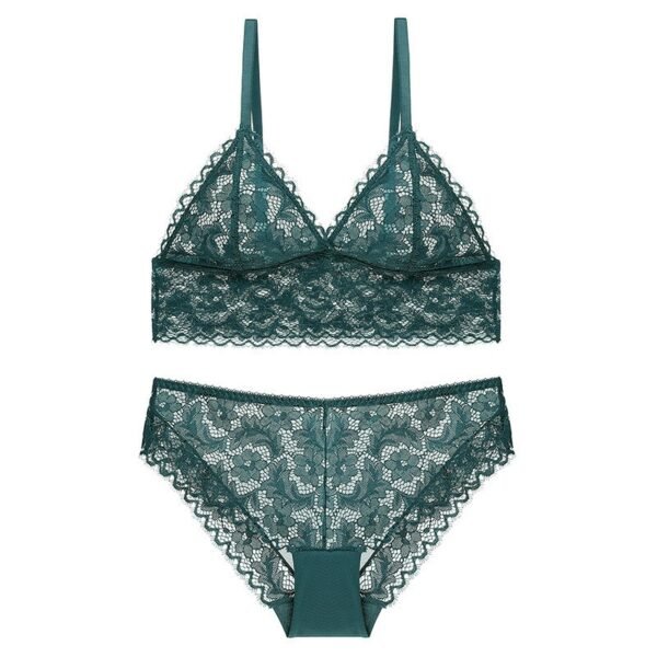 Sexy lace embroidered bra lingerie thin style gathered comfortable French bra set brassier and panties