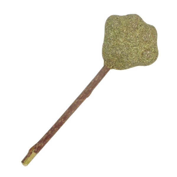 Pet catnip cat grass self-entertaining toys