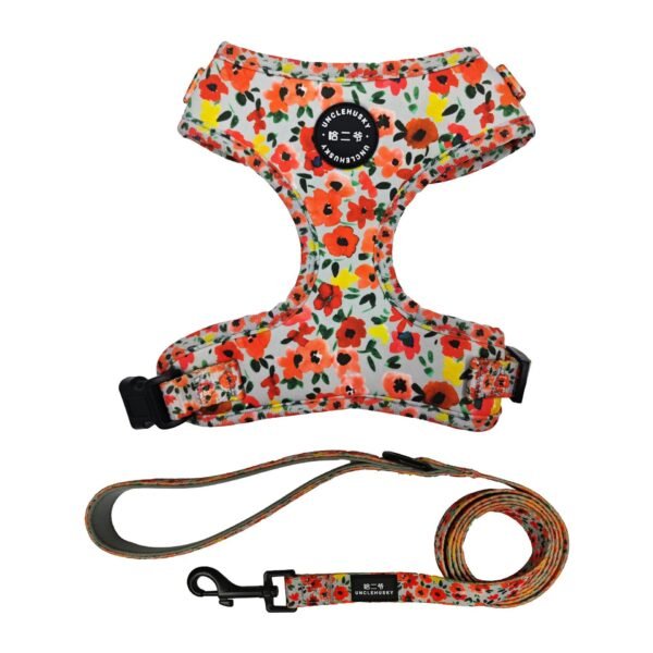 Pet dog Harness, Pet dog Leash
