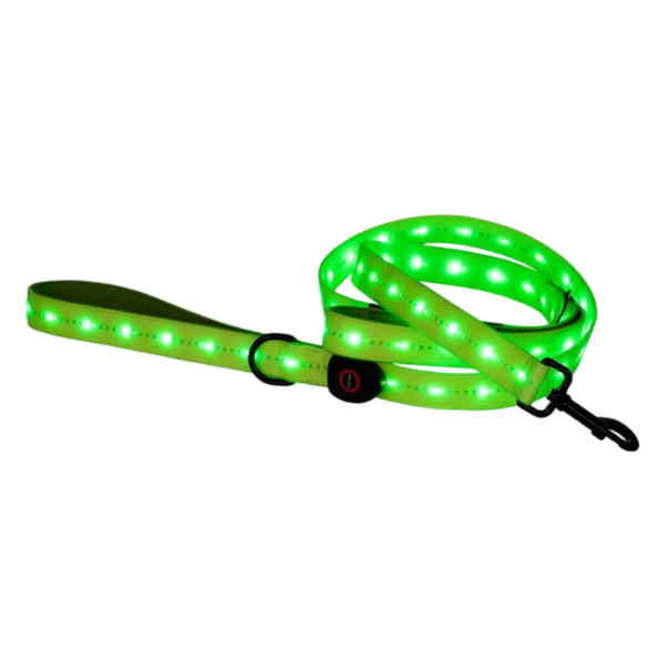 Pet dog Light-up Leash
