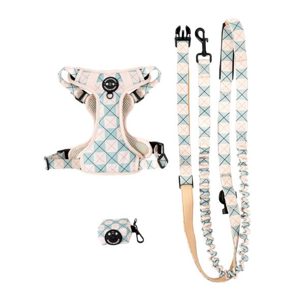 Pet dog Harness, Pet dog Leash
